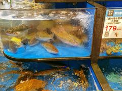-盒马鲜生(皇庭广场店)