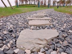 -春花秋色城市公园