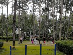 -仁和公园(顺义区)