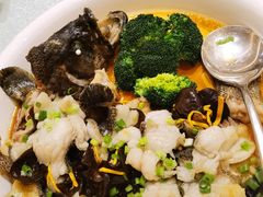 古法蒸石斑鱼-凤凰轩·尾牙宴·生日宴(十里银滩店)