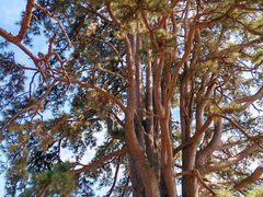 -终南山南五台景区