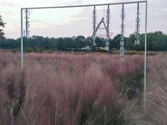 -艾溪湖湿地公园