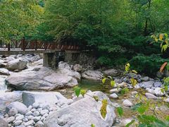 -青峰峡国家森林公园