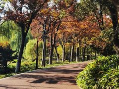 -金鸡湖桃花岛