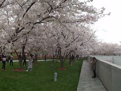 -龙美术馆西岸馆-停车场