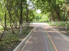 -黛秀湖公园