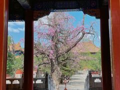 -北京国子监胡同