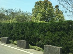 -平湖九龙山旅游度假区