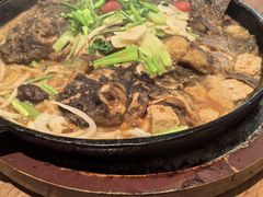 -老板恋上鱼(恒隆广场店)