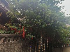 -重庆十八梯传统风貌区