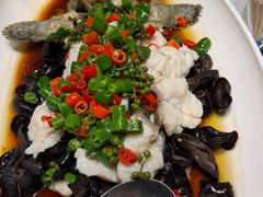 老虎斑-开海·红岛海鲜虾水饺(石老人店)