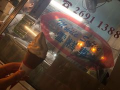 富豪软雪糕-富豪雪糕车流动点(尖沙咀店)