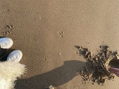 -白城沙滩