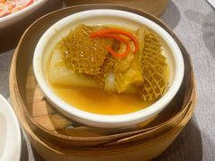 藤椒酱蒸金钱肚-凯逸轩·匠心粤菜(中城名仕汇店)