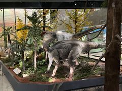 -湖南省地质博物馆