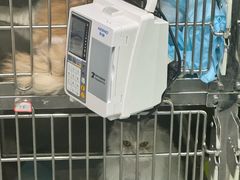 -半岛宠物医院24小时(科华中路店)