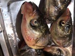 -冯鱼头火锅(青蓝山美食一条街店)