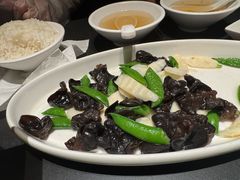 -鸽子侯·家宴·平价海鲜(市图书馆店)