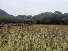 -兰亭风景区