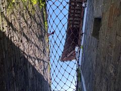 -枫桥景区