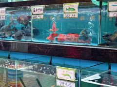 -秋姐美食店(旅游大道店)