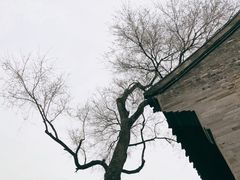 -个园