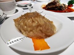 鱼翅吃到饱-新同乐鱼翅酒家(美丽华店)