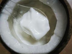 -椰爺爺·椰子冻砵仔糕