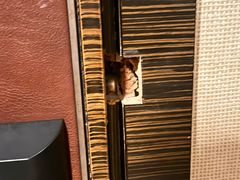 -青岛得宝湾维景国际大酒店(五四广场奥帆中心店)