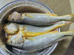 -沈家门渔港