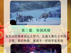 -《驼铃传奇》秀