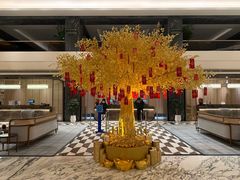 -上海虹桥祥源希尔顿酒店