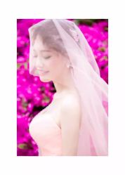 点击看大图 -苏菲亚婚纱摄影