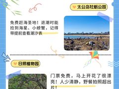 -日照海滨国家森林公园