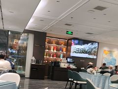 -大连湾旭日·家宴·海肠捞饭(马栏广场店)