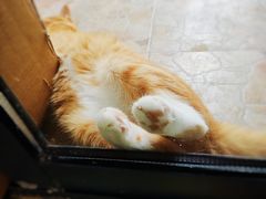 -贝利宠物医院·骨科·眼科·肿瘤转诊中心(南坪诊疗中心)