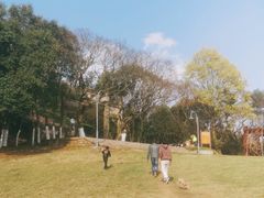 -青龙山公园