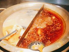 -九鼎轩脆毛肚火锅(南京东路店)