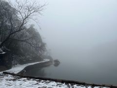 -四明山国家森林公园