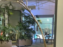 -大视光学•LINDBERG林德伯格•全球手工眼镜集合店(王府井店)