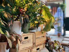 -1861意大利餐厅(文化广场店)