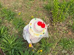 -杨梅红艺术教育(北京金源购物中心校区)