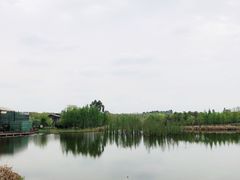 -白鹭湾湿地公园