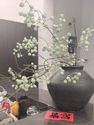 -悠伊瑜伽·孕产·普拉提