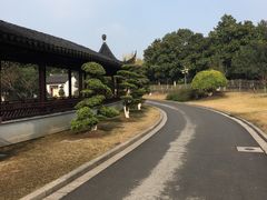 -花溪公园