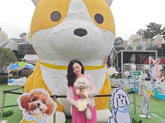 -七彩云南第壹城