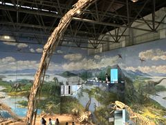 -自贡恐龙博物馆