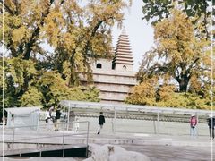 -北京石刻艺术博物馆(五塔寺)
