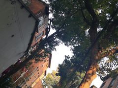 -潘玉麟糖粥