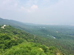-紫金山天文台
